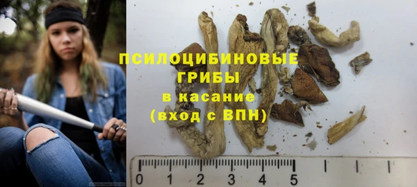ешки Касимов