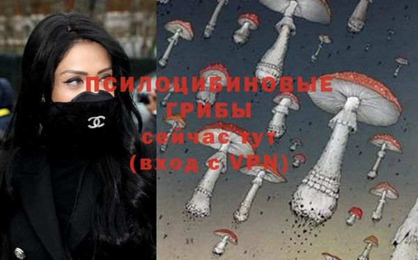 дживик Новокубанск