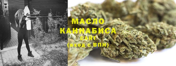 мет Дмитров