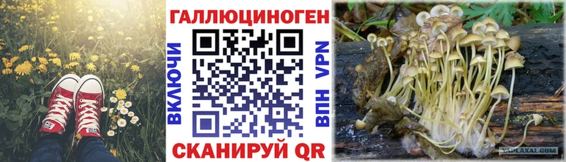 blacksprut ONION  Отрадный  Галлюциногенные грибы Cubensis 
